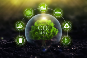 About 40% firms fail or disappear after announcing emissions reduction targets: Study