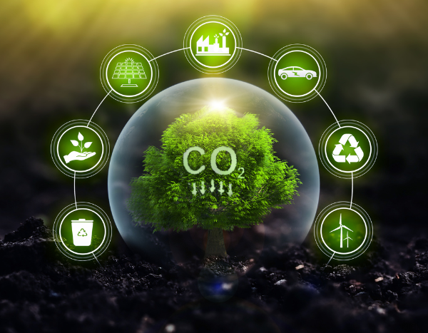 About 40% firms fail or disappear after announcing emissions reduction targets: Study