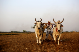 Only 15% of ₹1 lakh crore agri infra fund disbursed since 2020 launch