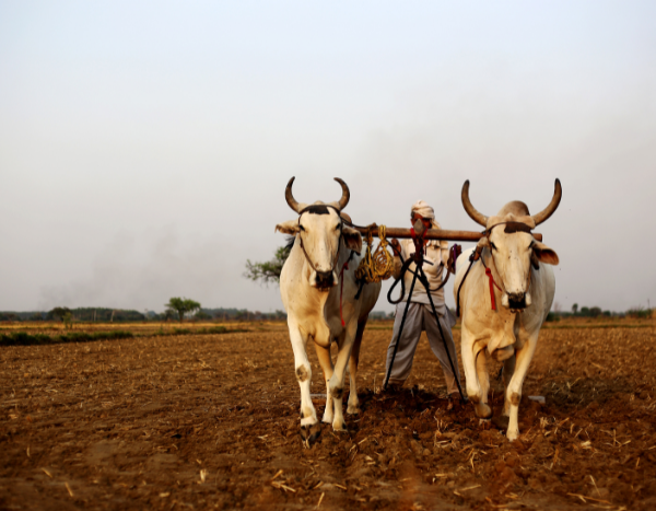 Only 15% of ₹1 lakh crore agri infra fund disbursed since 2020 launch