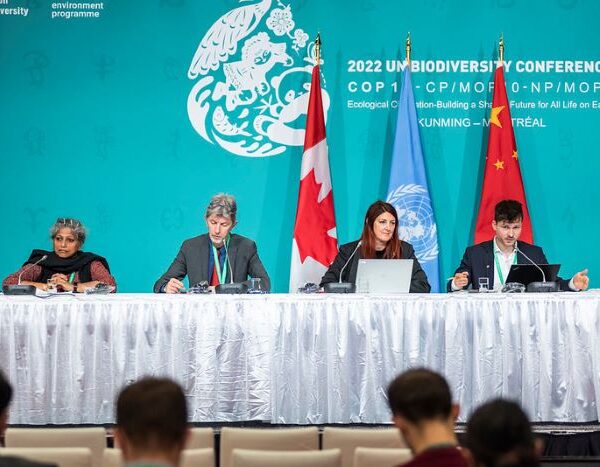 15th Biodiversity COP kicks off in Canada, fate of the Global Biodiversity Framework hangs in balance