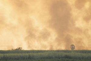 Air pollution levels lower than Indian norms causing deaths: Study