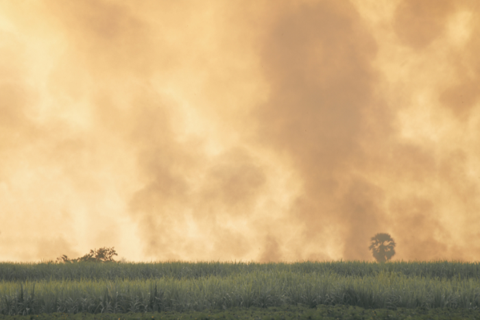 Air pollution levels lower than Indian norms causing deaths: Study