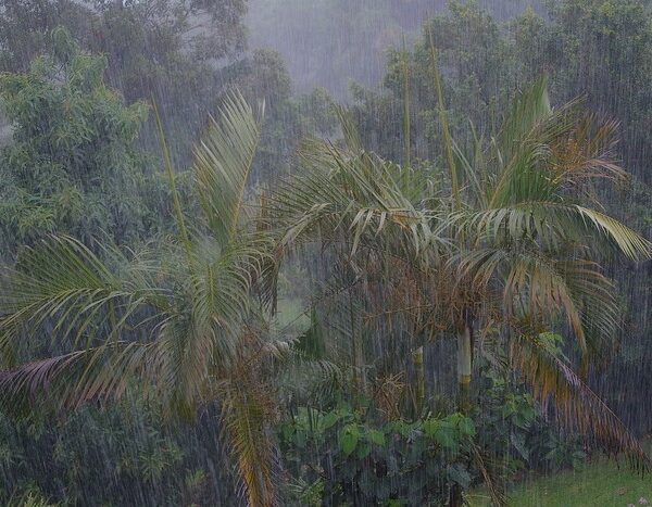 At least 10 dead in heavy rain in Maharashtra, Mumbai crosses 3000 mm threshold 