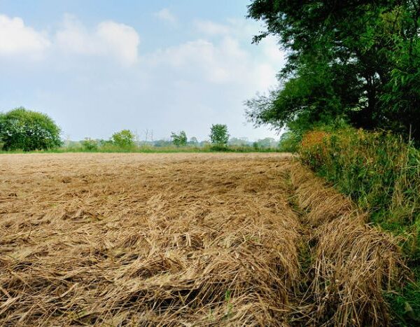 Monsoon withdrawing: 27% of India left dry, 4 million ha of crops damaged in Marathwada