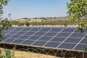 Countering China: India-led ISA pushes for diverse solar equipment market