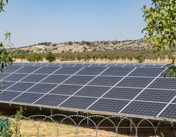 Countering China: India-led ISA pushes for diverse solar equipment market