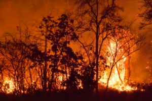 2023 hottest year on record, state of climate “off the charts”: WMO Report