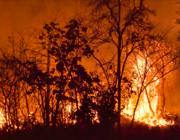 2023 hottest year on record, state of climate “off the charts”: WMO Report
