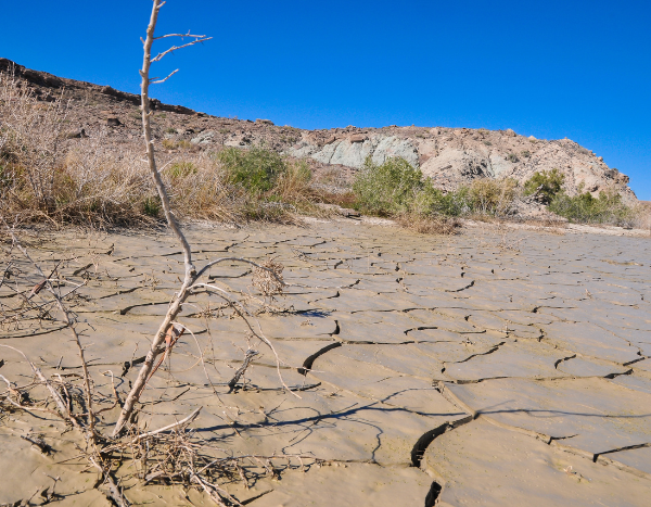 2015-2022 were eight warmest years since 1850: State of the Global Climate Report 2022