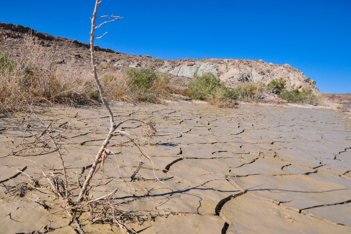 2015-2022 were eight warmest years since 1850: State of the Global Climate Report 2022