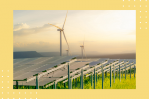 Wind, solar rose 8% in G20 power mix since Paris Accord: Report