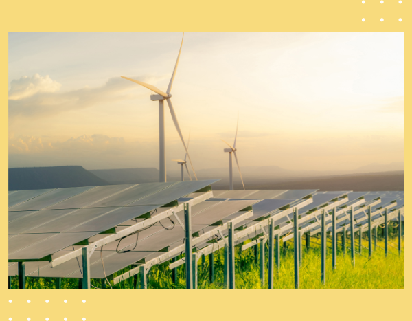 Wind, solar rose 8% in G20 power mix since Paris Accord: Report
