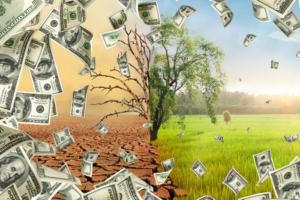 Climate change led to at least $41bn in damages in the six months since COP28: Report