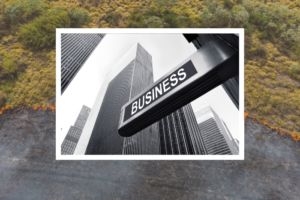 Growing climate risks to India Inc call for a mindset shift, building resilience: Experts