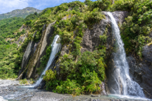 Tropical forest biodiversity at high risk from climate change due to temperature change under canopies: Study 