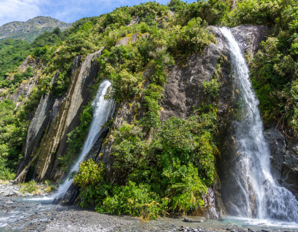Tropical forest biodiversity at high risk from climate change due to temperature change under canopies: Study 
