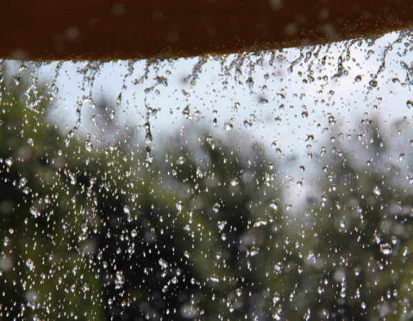 Summer conditions extend to monsoon months in India: Study