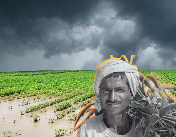 Rain and ruin: How climate extremes are fueling Marathwada’s agrarian crisis