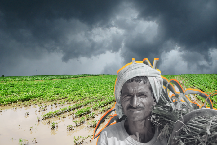 Rain and ruin: How climate extremes are fueling Marathwada’s agrarian crisis 