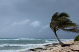 Monsoon onset delayed, cyclone Biparjoy intensifies near Gujarat