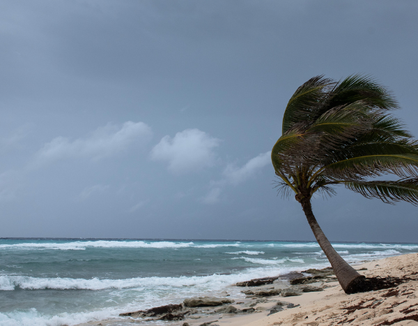 Monsoon onset delayed, cyclone Biparjoy intensifies near Gujarat