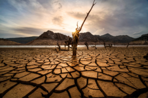 Heatwaves 2023: Scorching health, livelihood in India