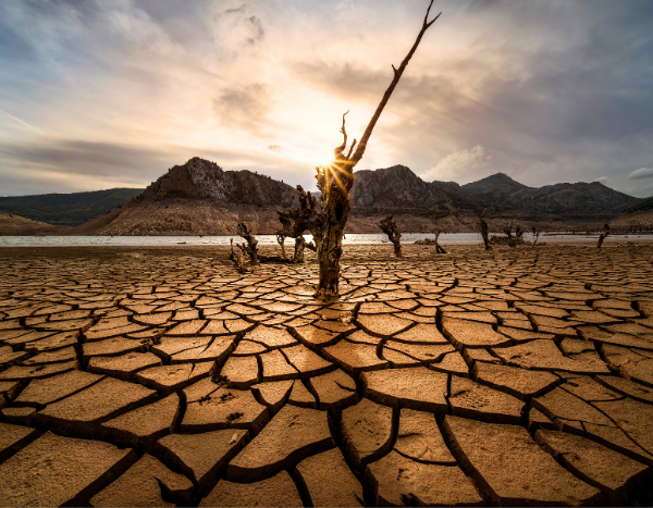 Heatwaves 2023: Scorching health, livelihood in India
