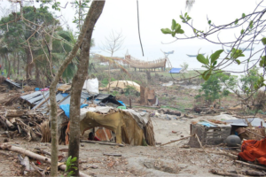 A coastal area battered by a cyclone.