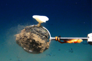 deep sea mining