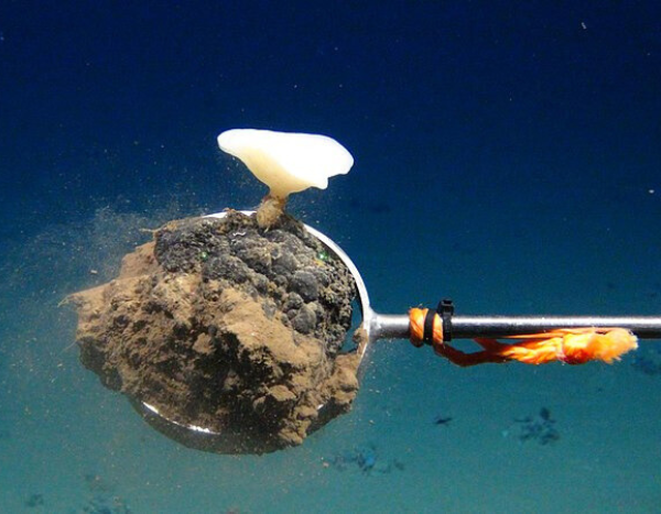 deep sea mining