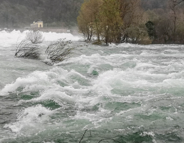 himachal floods