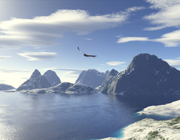 mountains and bird