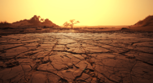 El Nino may last till April 2024: ‘Expect warmer winter, more fog, summer heatwaves’