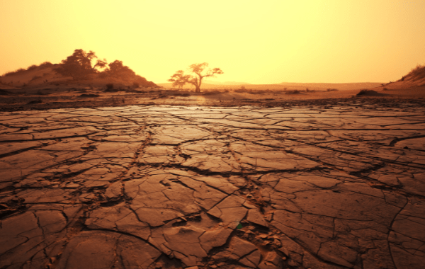 El Nino may last till April 2024: ‘Expect warmer winter, more fog, summer heatwaves’