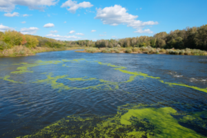 Rivers globally deteriorating due to extreme events and long-term climate change: Study