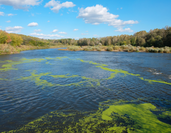 Rivers globally deteriorating due to extreme events and long-term climate change: Study