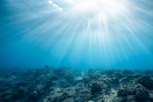 underwater