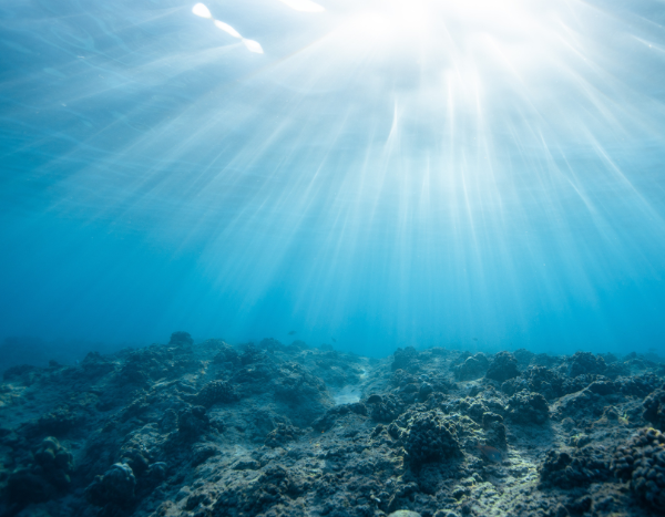 underwater