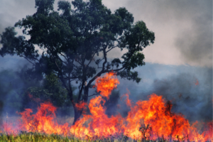 Adaptation Gap report