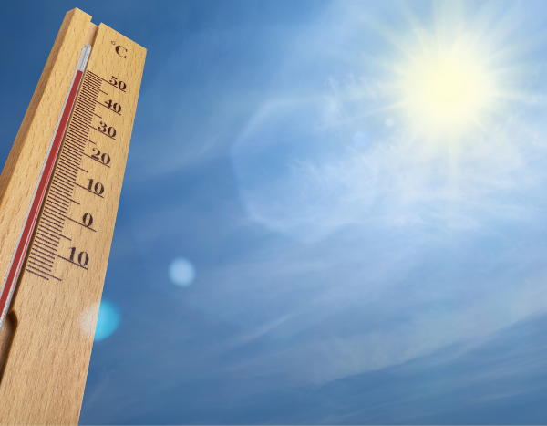 Delhi temperatures hit a record high, several casualties reported in Rajasthan 