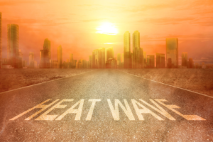 2024 the most intense and longest heatwave year: India’s weather office (IMD)