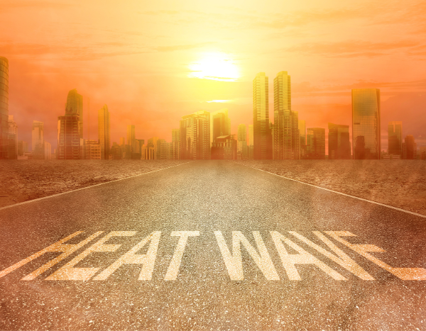 2024 the most intense and longest heatwave year: India’s weather office (IMD)