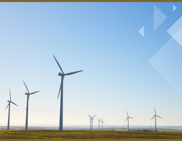 2023 stood out as the best year for wind energy: Report