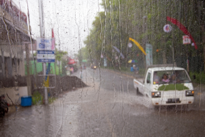 Monsoon to be ‘above normal’ in India: IMD
