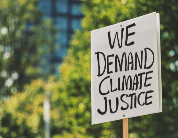 Right to be free from effects of climate change part of right to life: Supreme Court