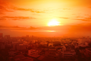 Heatwave: At least 143 people lost lives across India 