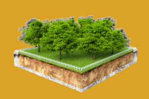 Competition over land resources rising in India, top 10% own 45% of farmland : Report 