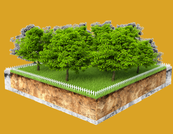 Competition over land resources rising in India, top 10% own 45% of farmland : Report 