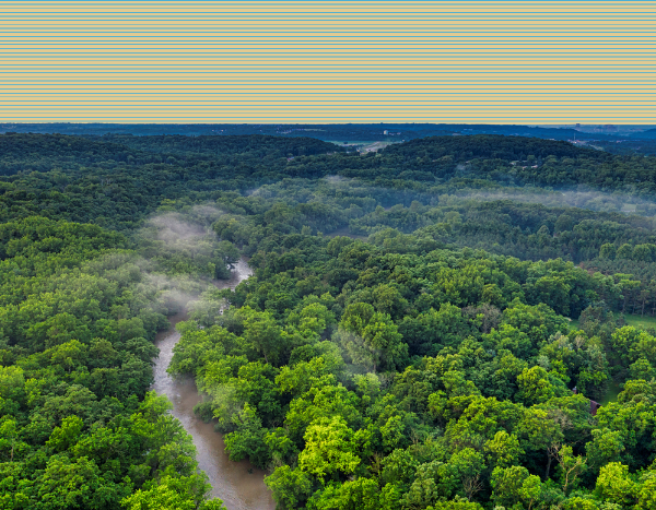 Tropical forest regeneration a significant carbon sink: Study